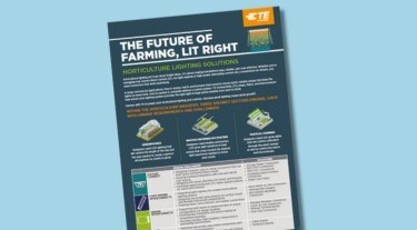 双节点架构信息图