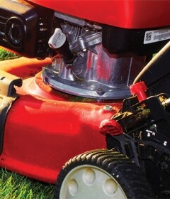 草坪-与-园艺-应用