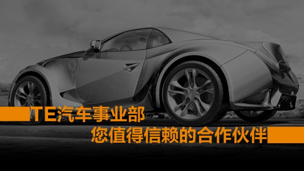 TE在华生产基地制造能力介绍视频