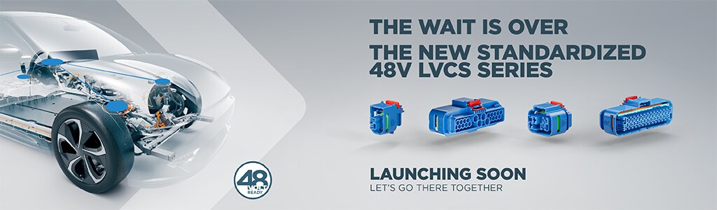 48V