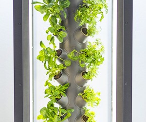 园艺照明解决方案