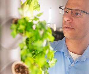 从创意萌芽到技术革命