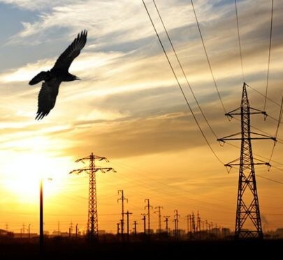 增强韧性：适应性电网的强化策略 