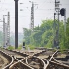 丛林中的铁路线