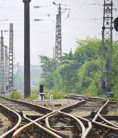 丛林中的铁路线