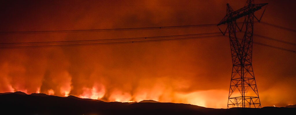 如何防止野火和丛林火灾的发生