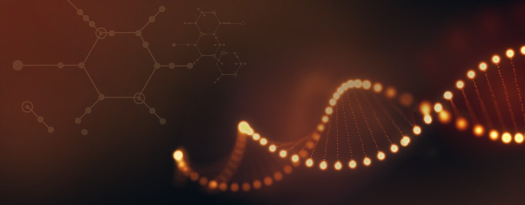 稳健性刻在我们的基因里