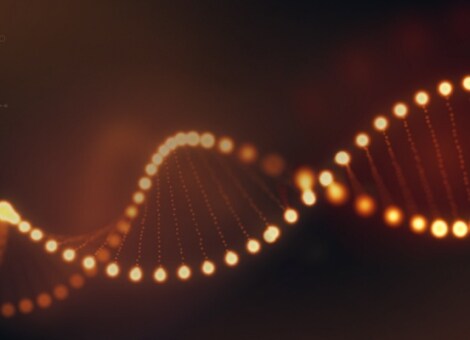 KISSLING 稳健性刻在我们的基因里