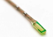 复杂的强化且可转向的多腔输送导管