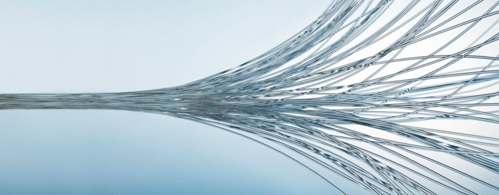 欧洲的电子电气废物：荷兰